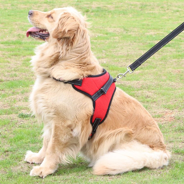 🐾 Harnais Réglable pour Chien & Animal de Compagnie - deslyshopping