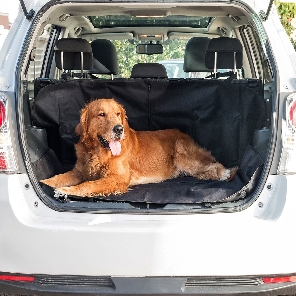 🐾 Housse de Protection Imperméable pour Voiture - deslyshopping