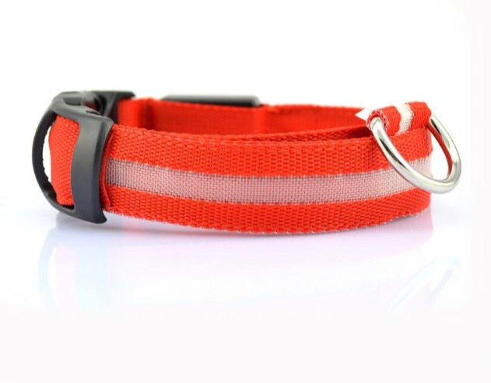 🐾 Lot de 2 Colliers LED en Nylon pour Chien 🌟 - deslyshopping