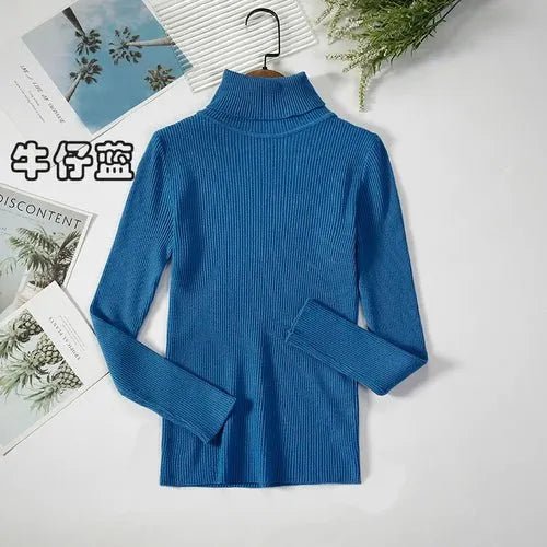 Pull à col roulé simple - deslyshopping