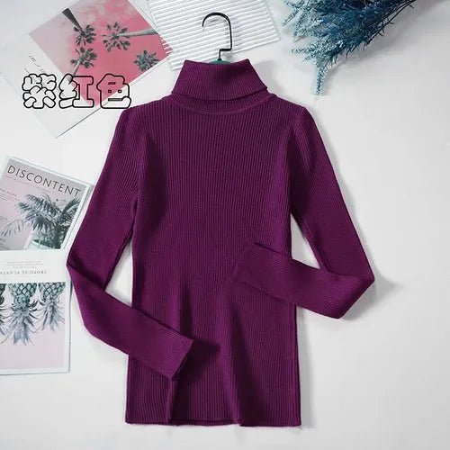 Pull à col roulé simple - deslyshopping