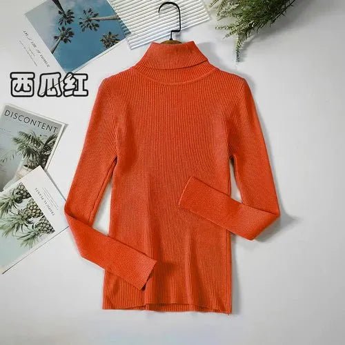 Pull à col roulé simple - deslyshopping
