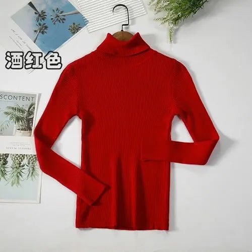 Pull à col roulé simple - deslyshopping