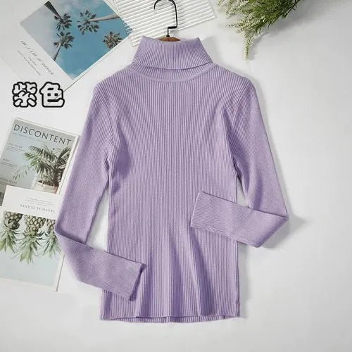 Pull à col roulé simple - deslyshopping