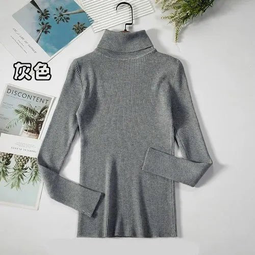 Pull à col roulé simple - deslyshopping