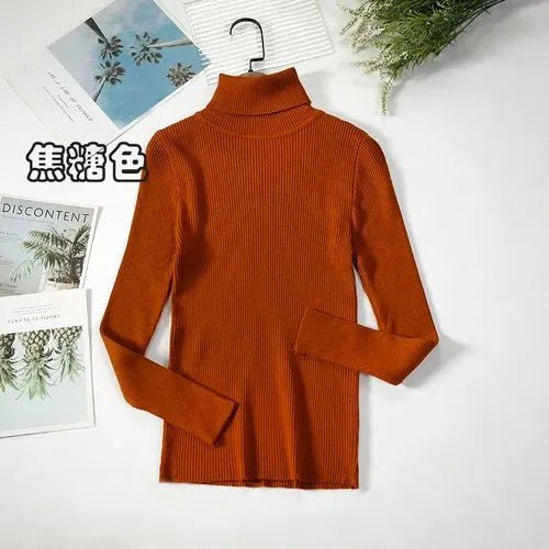 Pull à col roulé simple - deslyshopping