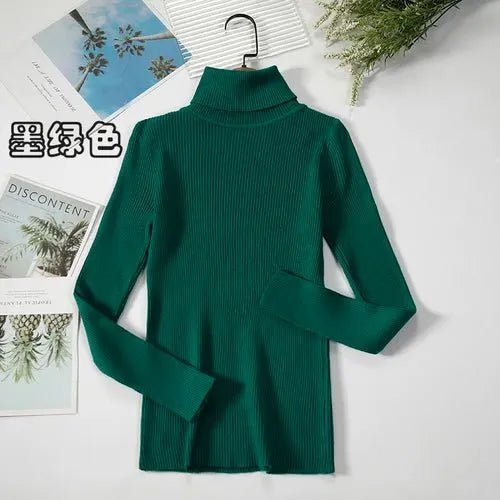 Pull à col roulé simple - deslyshopping