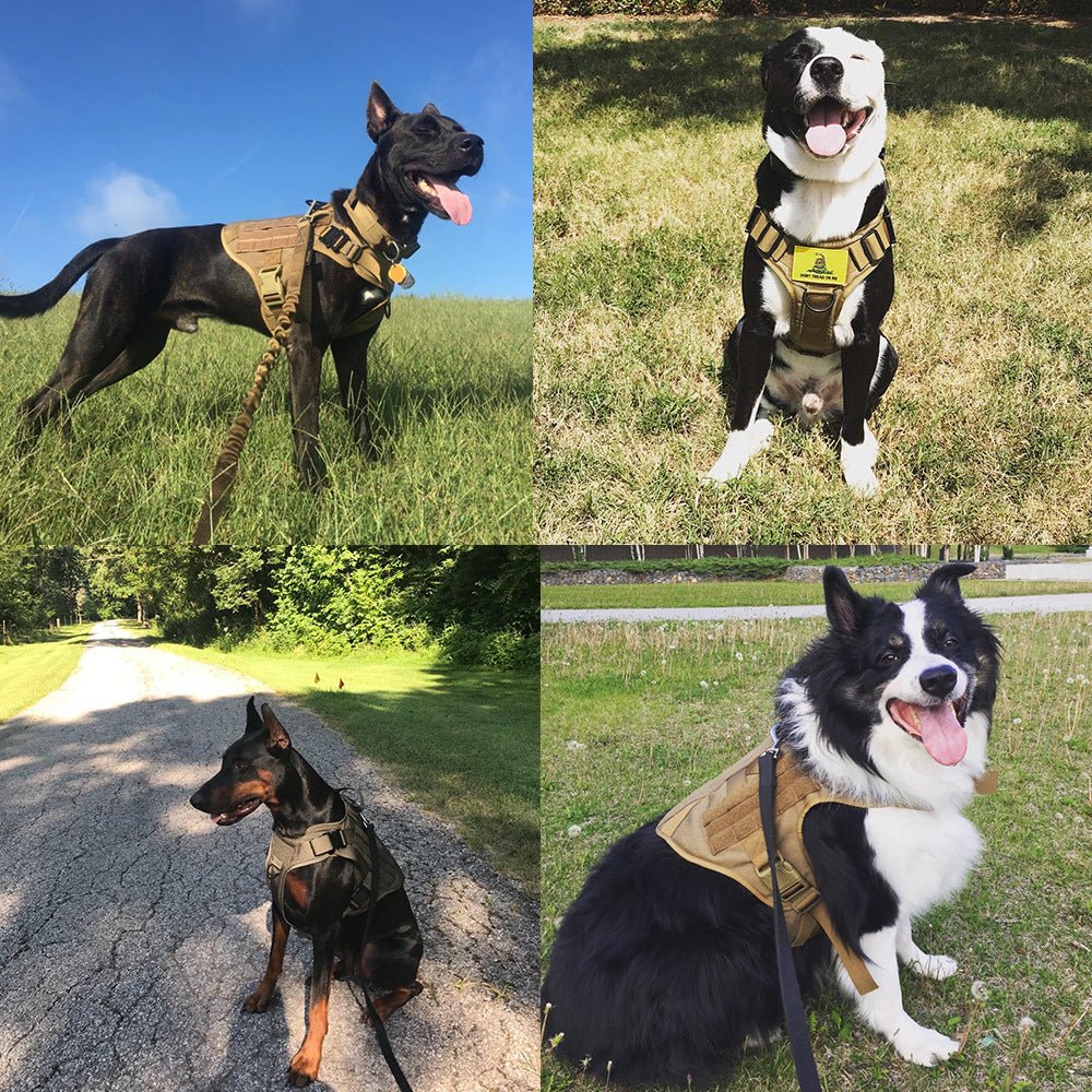 🐾 Ensemble Harnais et Laisse Tactique Militaire pour Chien - deslyshopping