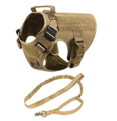 🐾 Ensemble Harnais et Laisse Tactique Militaire pour Chien - deslyshopping