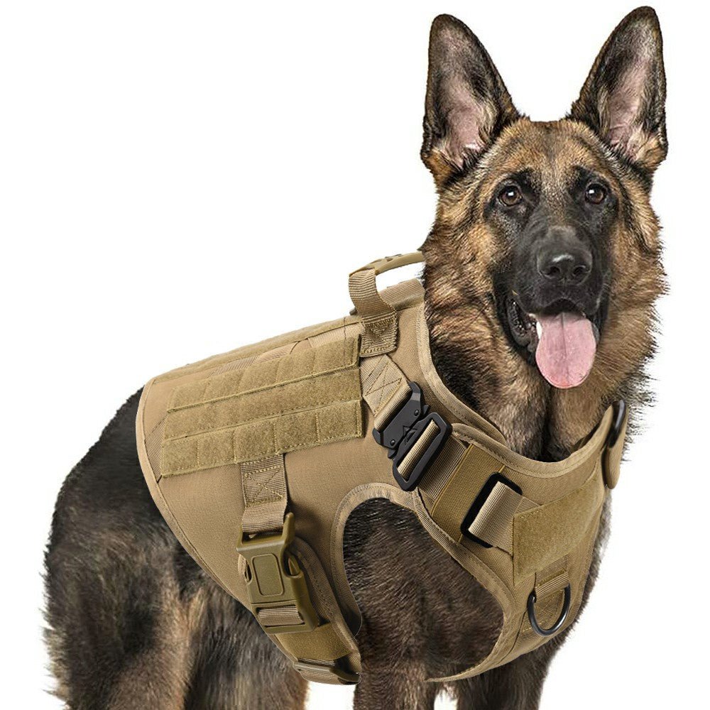 🐾 Ensemble Harnais et Laisse Tactique Militaire pour Chien - deslyshopping