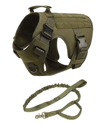 🐾 Ensemble Harnais et Laisse Tactique Militaire pour Chien - deslyshopping
