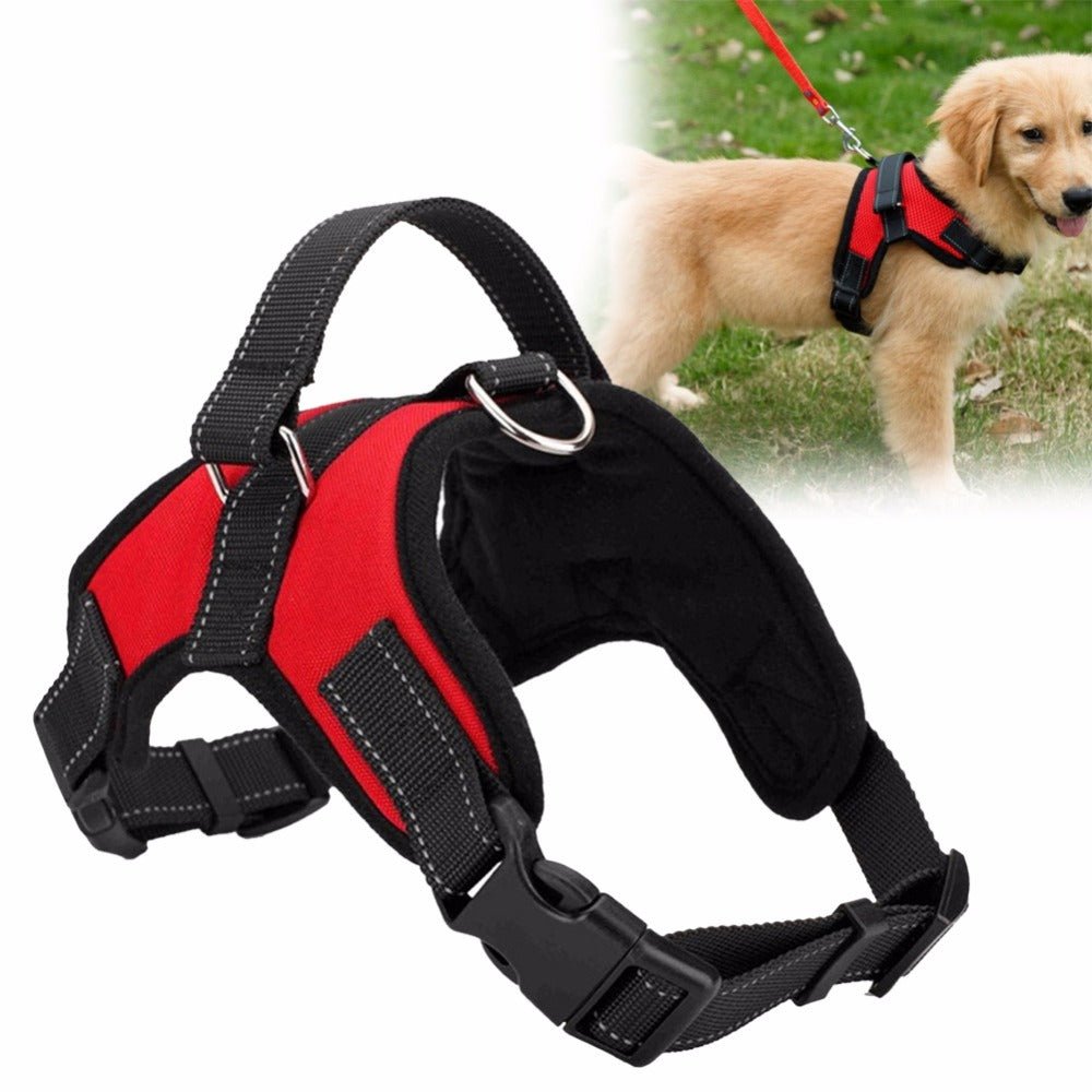 🐾 Harnais Réglable pour Chien & Animal de Compagnie - deslyshopping