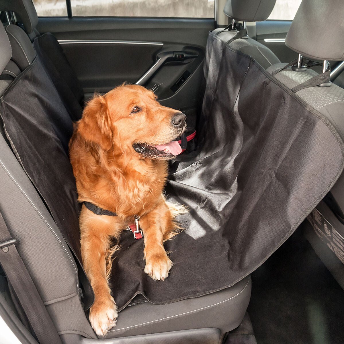🐾 Housse de Protection Imperméable pour Voiture - deslyshopping