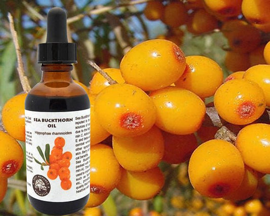 Huile de Baies d'Argousier 100 % Pure – Pressée à Froid - deslyshopping