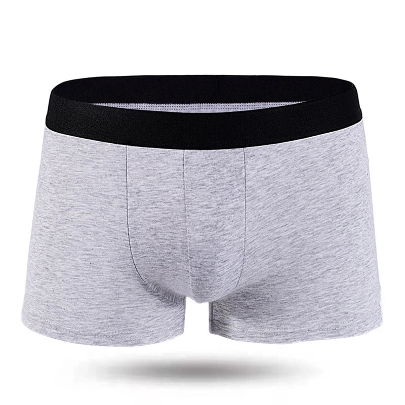 Lot de 10 culottes pour hommes - deslyshopping