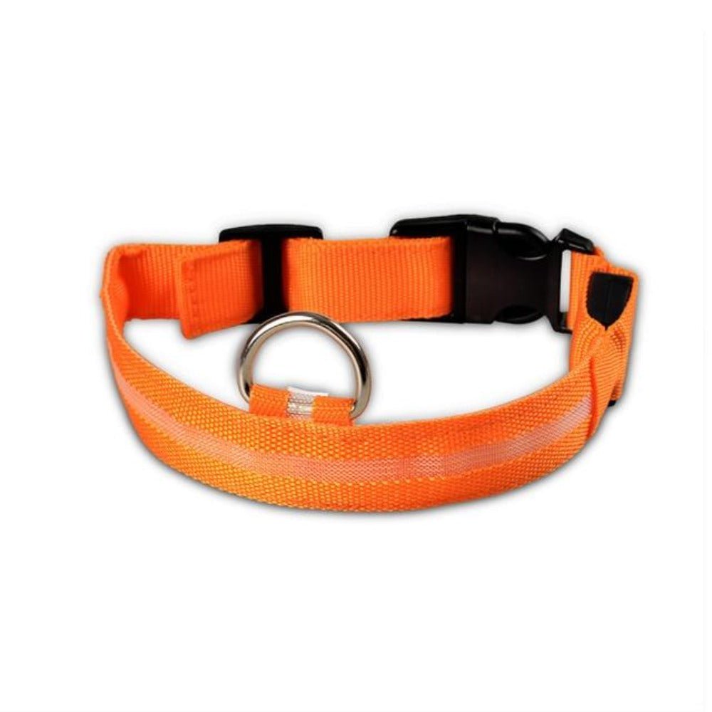 🐾 Lot de 2 Colliers LED en Nylon pour Chien 🌟 - deslyshopping