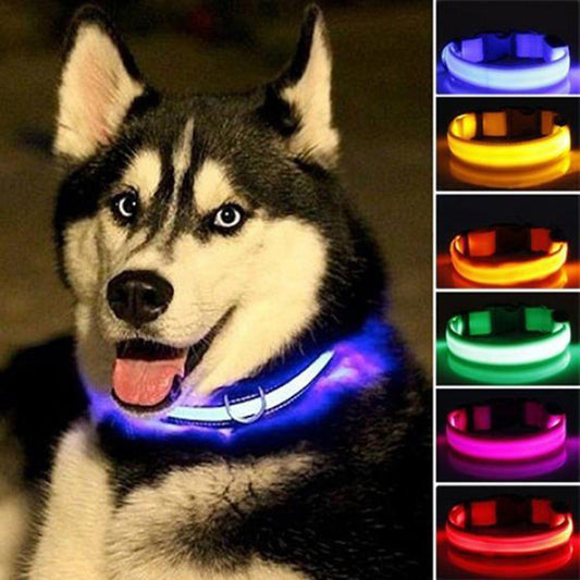 🐾 Lot de 2 Colliers LED en Nylon pour Chien 🌟 - deslyshopping