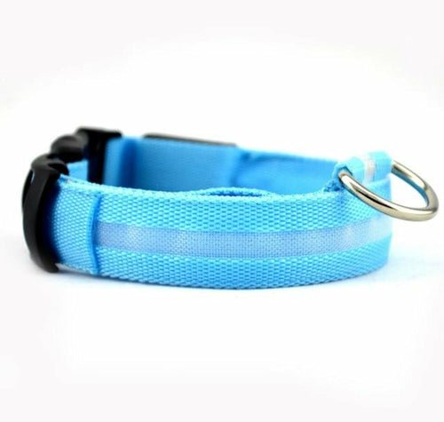 🐾 Lot de 2 Colliers LED en Nylon pour Chien 🌟 - deslyshopping
