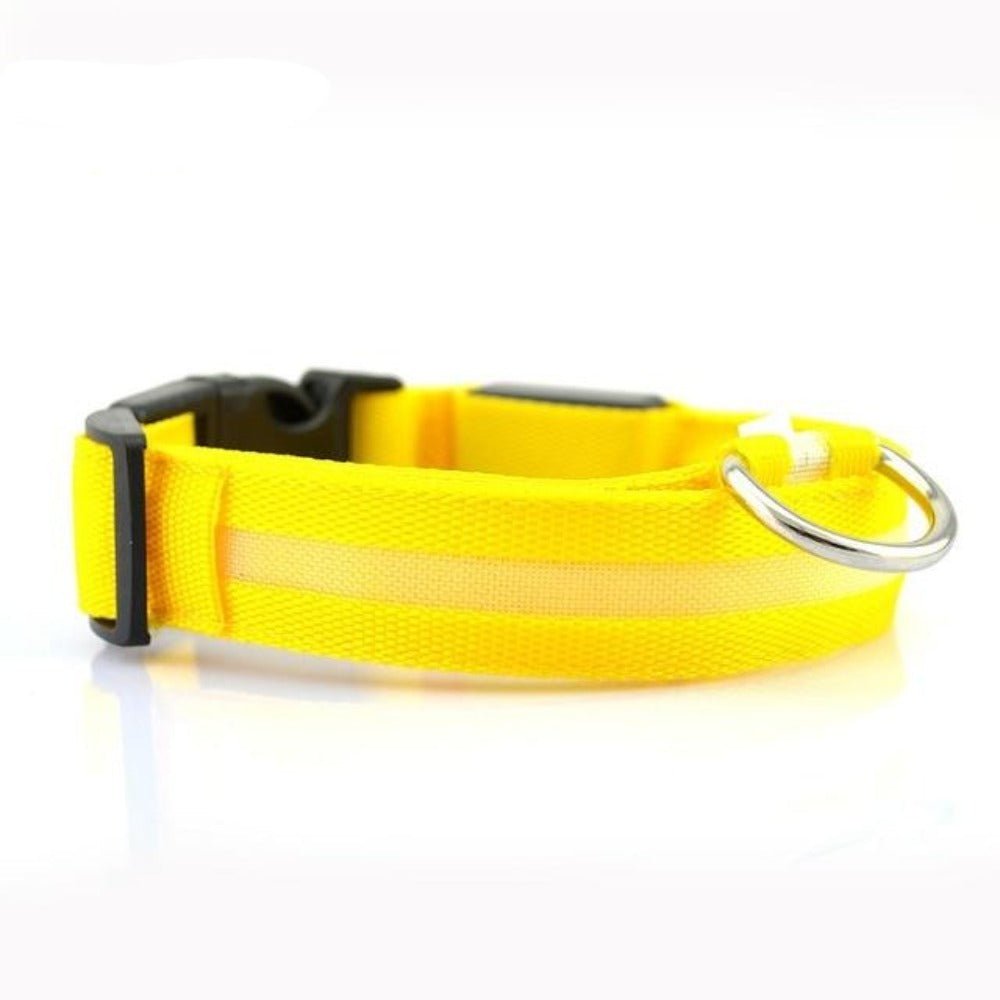🐾 Lot de 2 Colliers LED en Nylon pour Chien 🌟 - deslyshopping