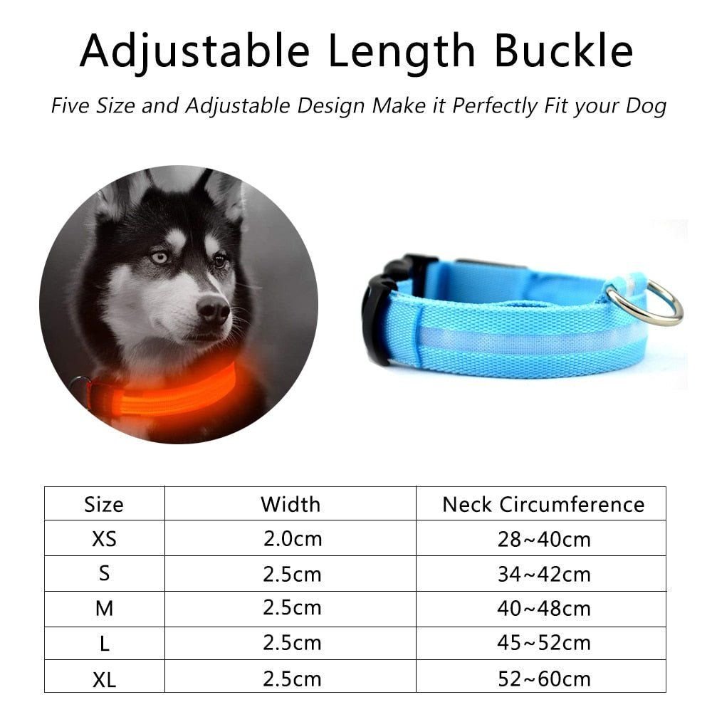 🐾 Lot de 2 Colliers LED en Nylon pour Chien 🌟 - deslyshopping