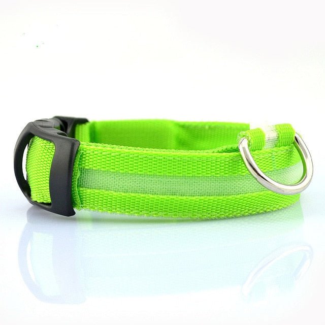 🐾 Lot de 2 Colliers LED en Nylon pour Chien 🌟 - deslyshopping
