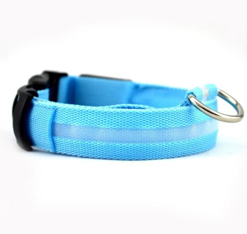 🐾 Lot de 2 Colliers LED en Nylon pour Chien 🌟 - deslyshopping