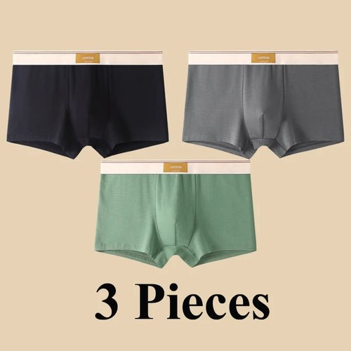 Pack de 3 Boxers Homme, Confort 3D, Mode Été/Printemps - deslyshopping