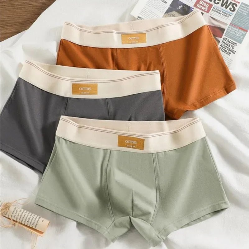 Pack de 3 Boxers Homme, Confort 3D, Mode Été/Printemps - deslyshopping