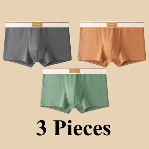 Pack de 3 Boxers Homme, Confort 3D, Mode Été/Printemps - deslyshopping