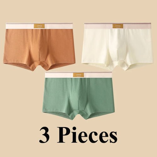 Pack de 3 Boxers Homme, Confort 3D, Mode Été/Printemps - deslyshopping
