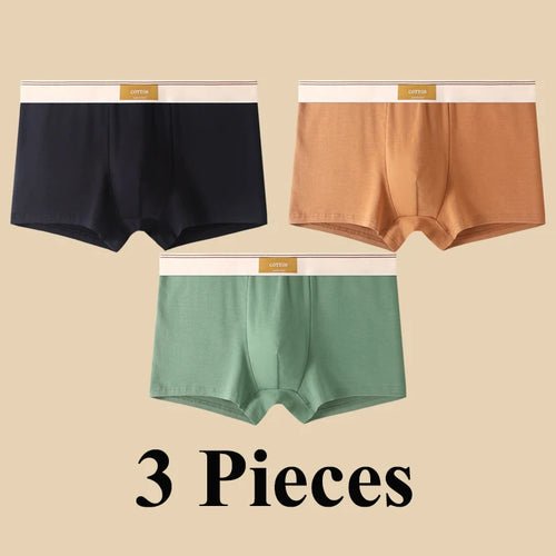 Pack de 3 Boxers Homme, Confort 3D, Mode Été/Printemps - deslyshopping