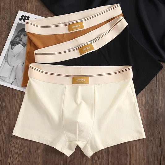 Pack de 3 Boxers Homme, Confort 3D, Mode Été/Printemps - deslyshopping