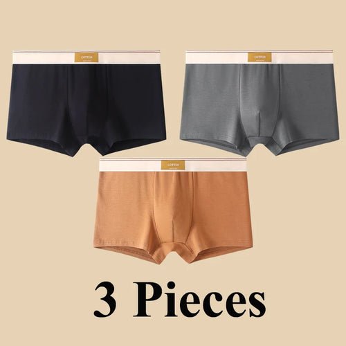 Pack de 3 Boxers Homme, Confort 3D, Mode Été/Printemps - deslyshopping