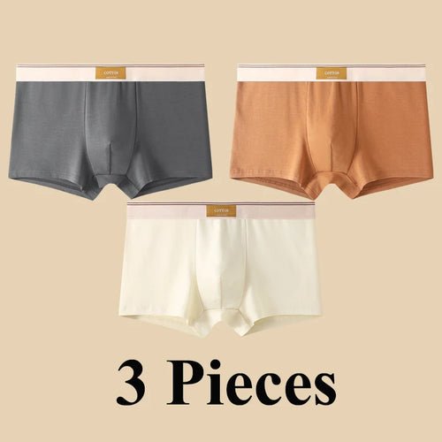Pack de 3 Boxers Homme, Confort 3D, Mode Été/Printemps - deslyshopping