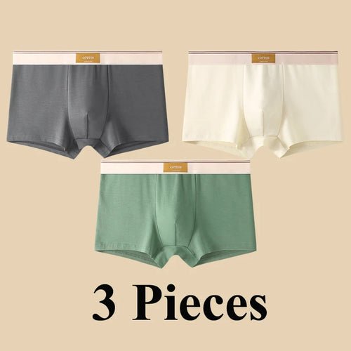 Pack de 3 Boxers Homme, Confort 3D, Mode Été/Printemps - deslyshopping