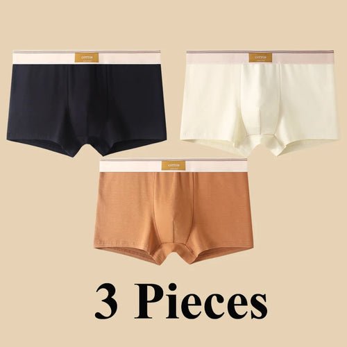 Pack de 3 Boxers Homme, Confort 3D, Mode Été/Printemps - deslyshopping