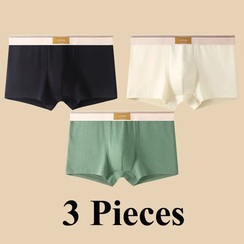 Pack de 3 Boxers Homme, Confort 3D, Mode Été/Printemps - deslyshopping