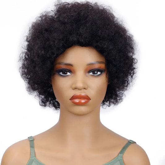 Perruques courtes en cheveux humains afro - deslyshopping
