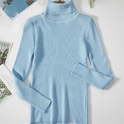 Pull à col roulé en cachemire - deslyshopping