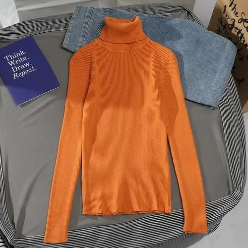 Pull à col roulé en cachemire - deslyshopping