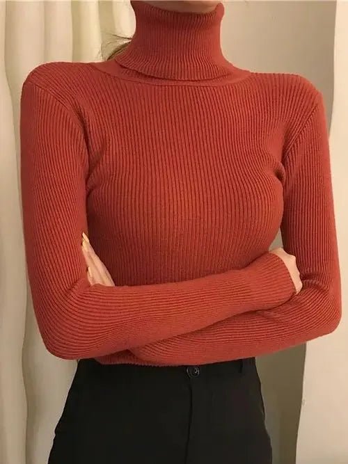 Pull à col roulé en cachemire - deslyshopping