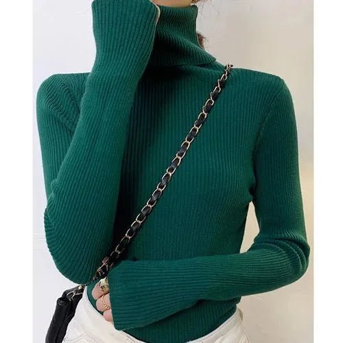 Pull à col roulé en cachemire - deslyshopping