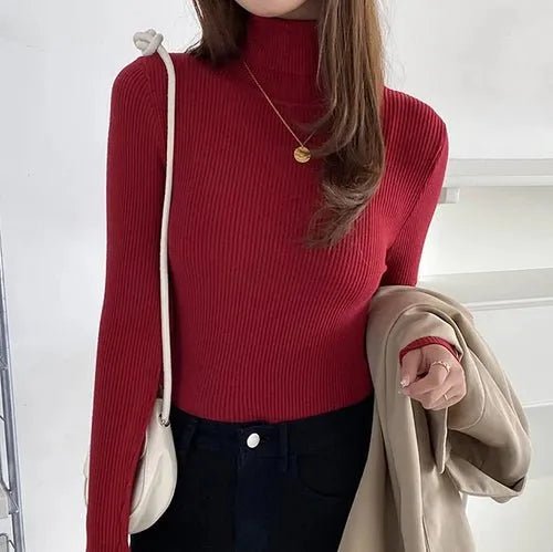 Pull à col roulé en cachemire - deslyshopping