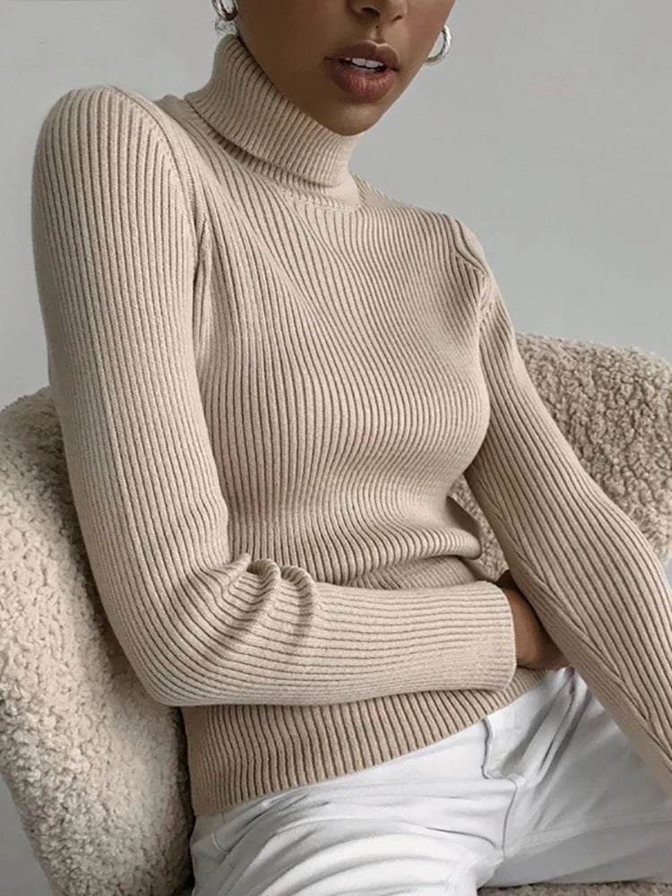 Pull à col roulé en cachemire - deslyshopping