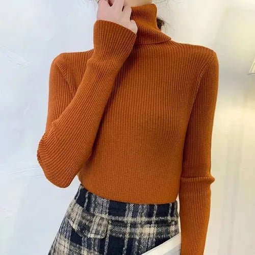 Pull à col roulé en cachemire - deslyshopping