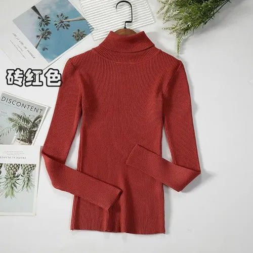 Pull à col roulé simple - deslyshopping