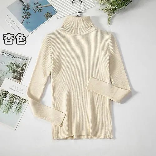Pull à col roulé simple - deslyshopping