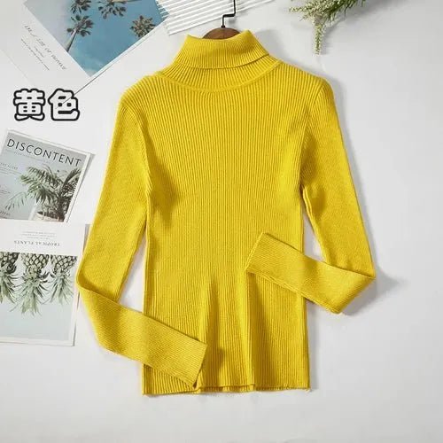 Pull à col roulé simple - deslyshopping