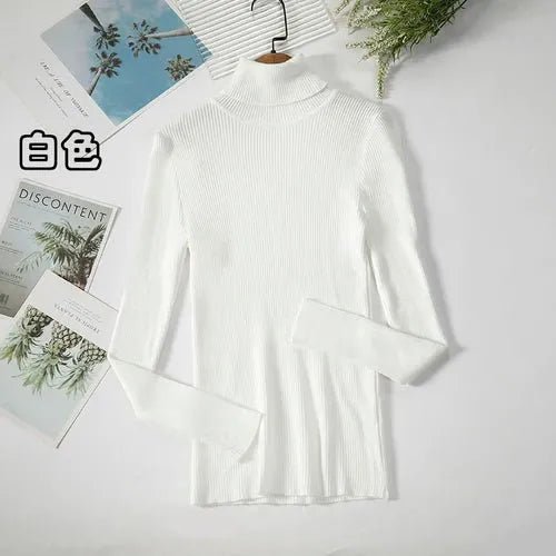 Pull à col roulé simple - deslyshopping