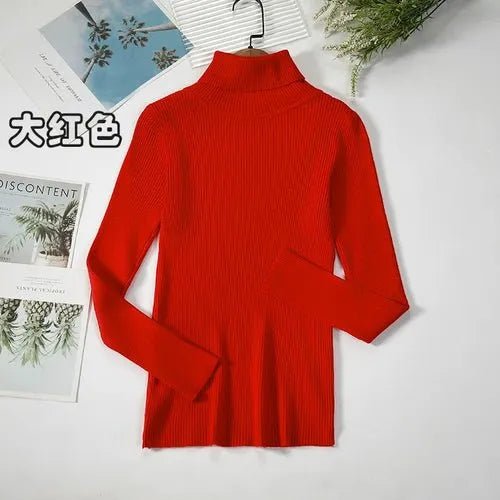 Pull à col roulé simple - deslyshopping